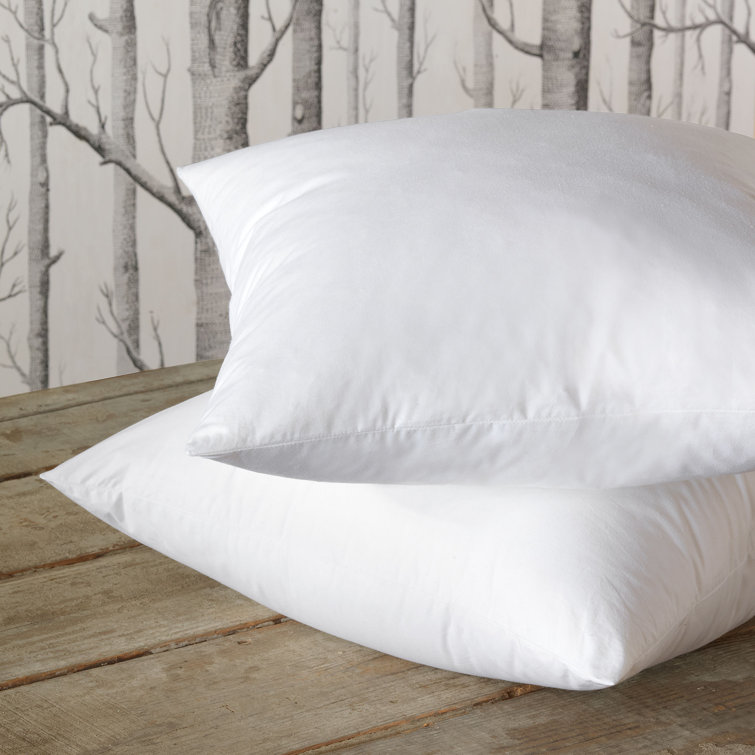 Eastern Accents Plume Feather Pillow Insert Wayfair